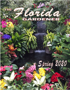 Florida Federation Of Garden Clubs Inc 2017 2019 District